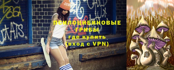 кристаллы Дмитриев