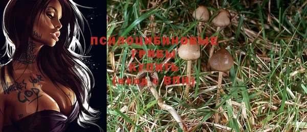 марихуана Дмитровск