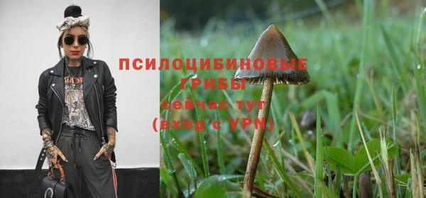 кристаллы Дмитриев