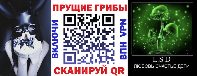 Купить  Калачинск  Псилоцибиновые грибы Magic Shrooms 